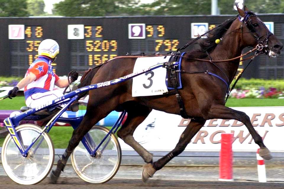 Breeders Crown 2001